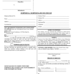 23rd Circuit Court Subpoena Duces Tecum Fill Out Sign Online DocHub
