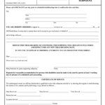 5207243171 Form Fill Out And Sign Printable PDF Template SignNow