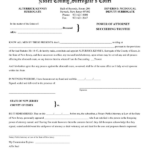 Affidavit 1310 Surrogate s Court Form AffidavitForm