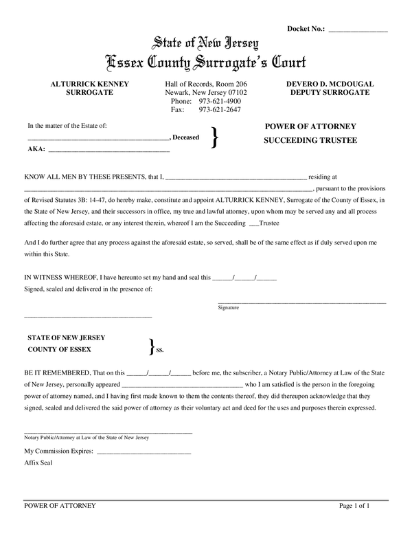 Affidavit 1310 Surrogate s Court Form AffidavitForm