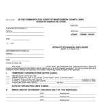 Affidavit Of Financial Disclosure Montgomery County Form Fill Out And