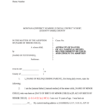 Attorney Name Montana Courts Form Fill Out And Sign Printable PDF