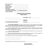 Blank Summons Pinal County Clerk Of The Superior Court Fill Out