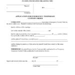 Child Custody Modification Forms Ohio Universal Network