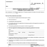 Courts State Co Fill Out And Sign Printable PDF Template SignNow