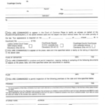 Cuyahoga Clerk Of Courts Form Fill Out Sign Online DocHub