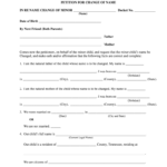 Davidson County Cia Fill Out And Sign Printable PDF Template SignNow