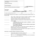 District Court Of Denver County Colorado Fill Out And Sign Printable