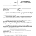 Divorce In Sc Fill Out Sign Online DocHub