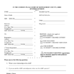 Divorce Papers Ohio Form Fill Out And Sign Printable PDF Template