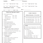 Domestic Relations Case Final Disposition Form Georgia Fill Out Sign