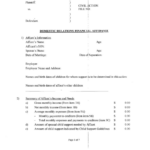 Domestic Relations Financial Affidavit 2011 Printable Pdf Download