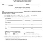 Fill Free Fillable Flagler County Clerk Of The Circuit Court