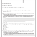 Fillable Form 2f E 338 Custody visitation Statement Printable Pdf