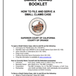 Fillable Online Occourts SPR16 08 Small Claims Plaintiff s Claim And