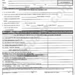 Form 3 Rowan County Occupational Tax Printable Pdf Download