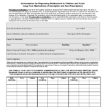 Form CCL 027 Download Printable PDF Or Fill Online Authorization For