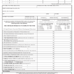 Form CLGS 32 1 Download Fillable PDF Or Fill Online Taxpayer Annual