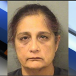 Former Palm Beach County Office Clerk Charged With Embezzling Stripper Fees
