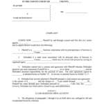 Forms And Instructions For Filing A Civil Action In County Court Fill