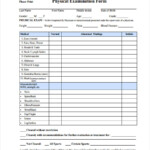 FREE 5 School Physical Forms In PDF