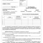 Ga Final Disposition Sentence Form Fill Out Sign Online DocHub