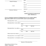 Hamilton County Domestic Relations Fill Out And Sign Printable PDF