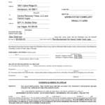 Henderson Small Claims Court Fill Out Sign Online DocHub