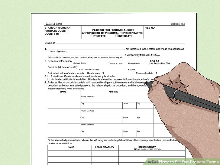 How To Fill Out Probate Forms 10 Steps with Pictures WikiHow