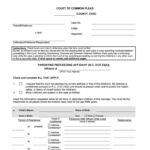 In The COURT Of COMMON PLEAS Of COUNTY OHIO Plaintiff Form Fill Out