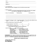 Information Sheet For Trusteeship Individual Printable Pdf Download