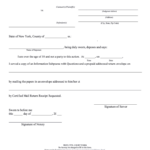 Information Subpoena Ny Fill Online Printable Fillable Blank