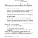 Juvenile And Domestic Relations District CourtJuvenile Form Fill Out