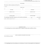 Juvenile Domestic Relations District Court Manual Chapter 6 Form