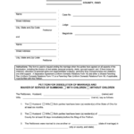 Lake County Ohio Common Pleas Court General Division Site Form Fill