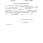 LAURA E ROTHClerk Of The Circuit Court Volusia County Form Fill Out