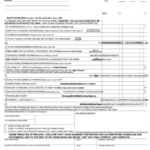 Local Earned Income Tax Return Mifflin County School District 2008