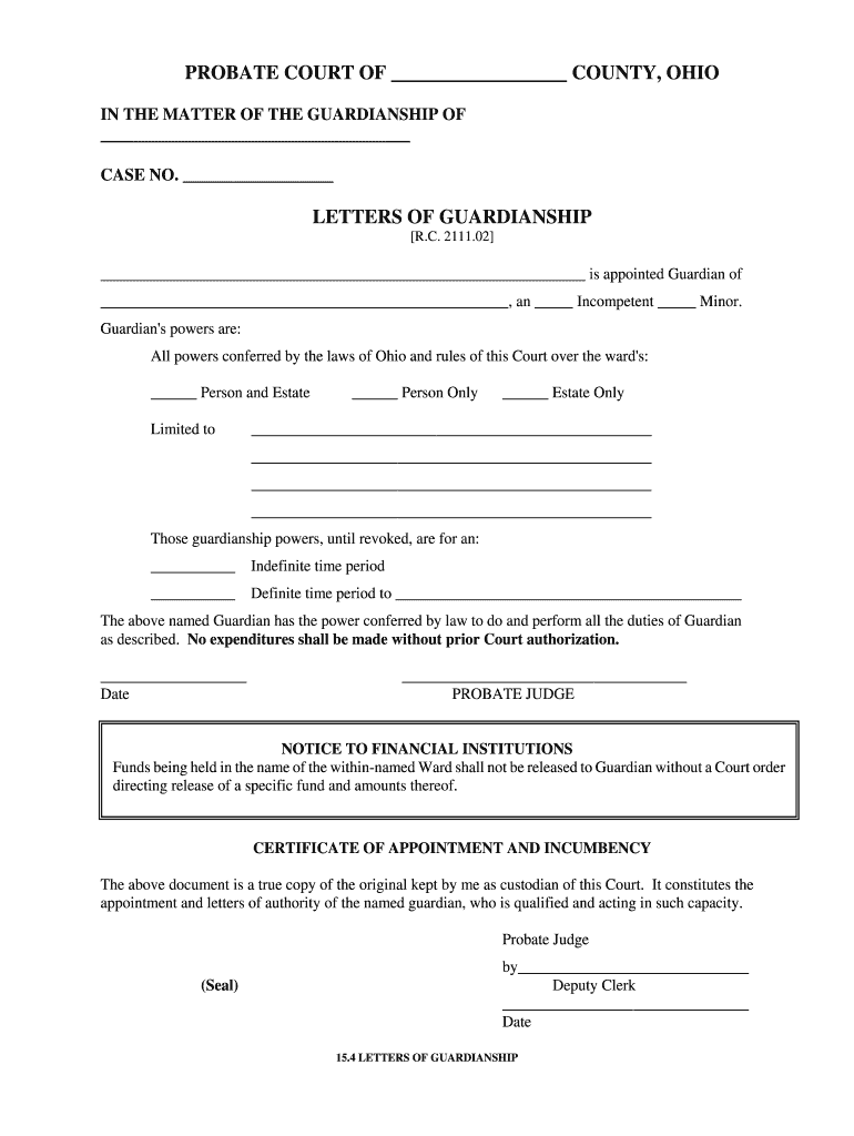 Meigs County Probate Court Guardianship Fill Out Sign Online DocHub