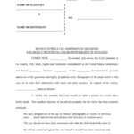 Motion To Dismiss Illinois DuPage County Circuit Court Form Fill Out