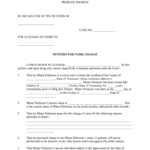 Name Change Adult Levy County Clerk Of Court Form Fill Out And Sign