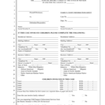 Nevada Family Court Form Fill Out And Sign Printable PDF Template