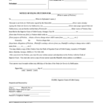 Notice Of Publication Form Superior Court Of Cobb County Printable