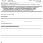 NY DOS 1946 2013 2022 Fill And Sign Printable Template Online US