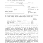 Nys Order Of Protection Form Fill Online Printable Fillable Blank