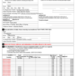 Pierce County Real Estate Excise Tax Affidavit Form AffidavitForm