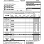 Printable Immunization Records Texas Printable World Holiday