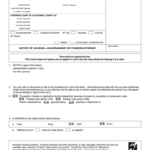 PROBATE COURT GUARDIANSHIP STARTING PACKET Form Fill Out And Sign