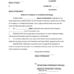 Probation Form Fill Out And Sign Printable PDF Template SignNow