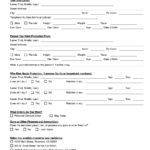 Riverside County Restraining Order Printable Blank PDF Online