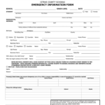 School Emergency Contact Form In Word And Pdf Formats